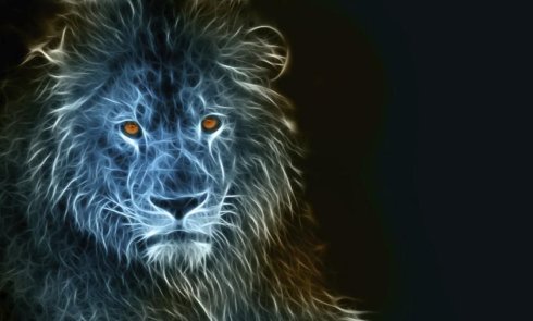 lion-energy.jpg